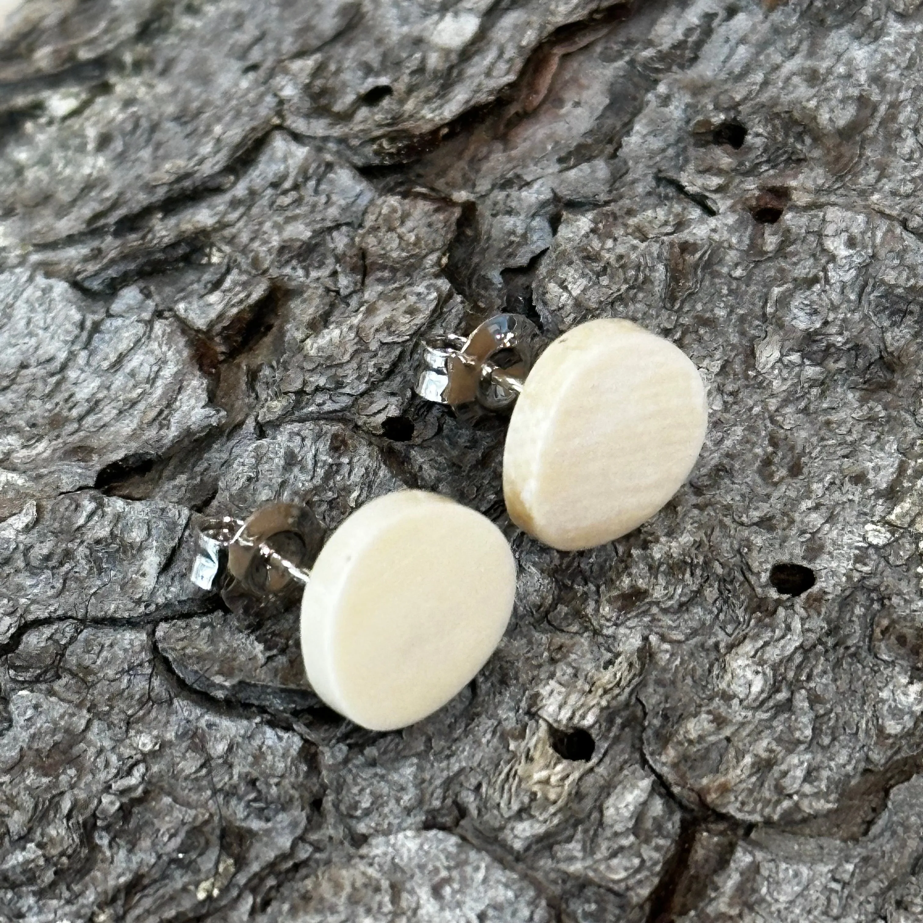 Curved Disc Post Earrings