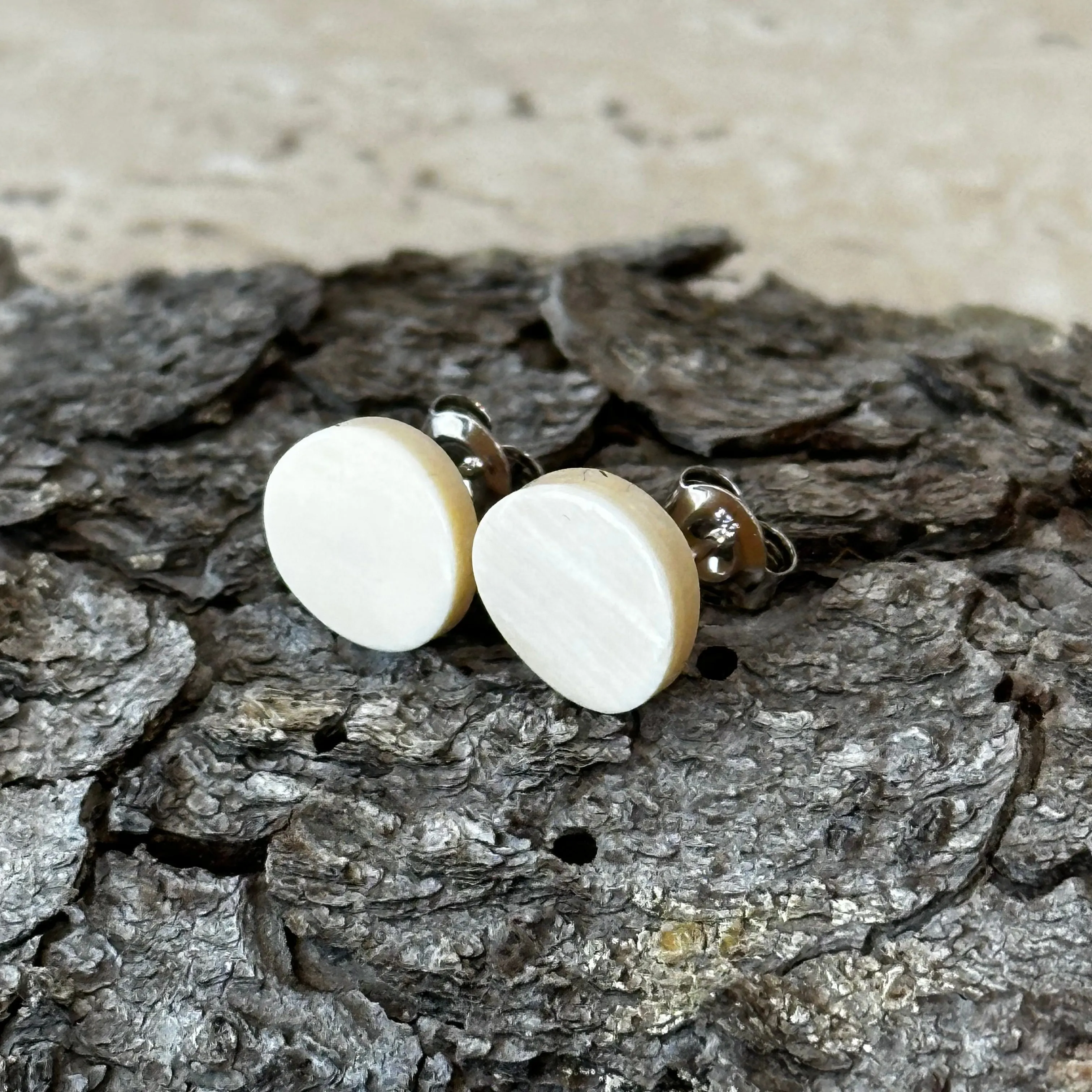 Curved Disc Post Earrings