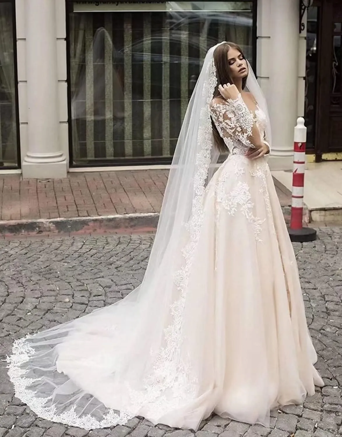 Fair Lady Wedding Dresses for Bride 2025 V Neck Beaded Straps Lace Appliques Bridal Gown for Women