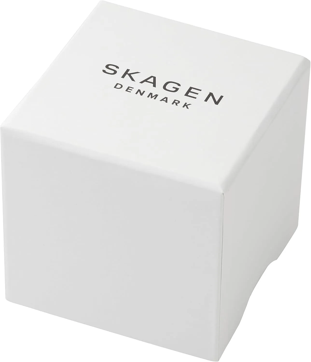 Skagen Kuppel or Riis Minimalist Men's Watch with Stainless Steel Mesh or Leather Band